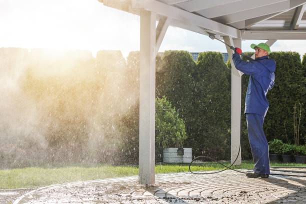 Best Graffiti Removal Services in Pana, IL